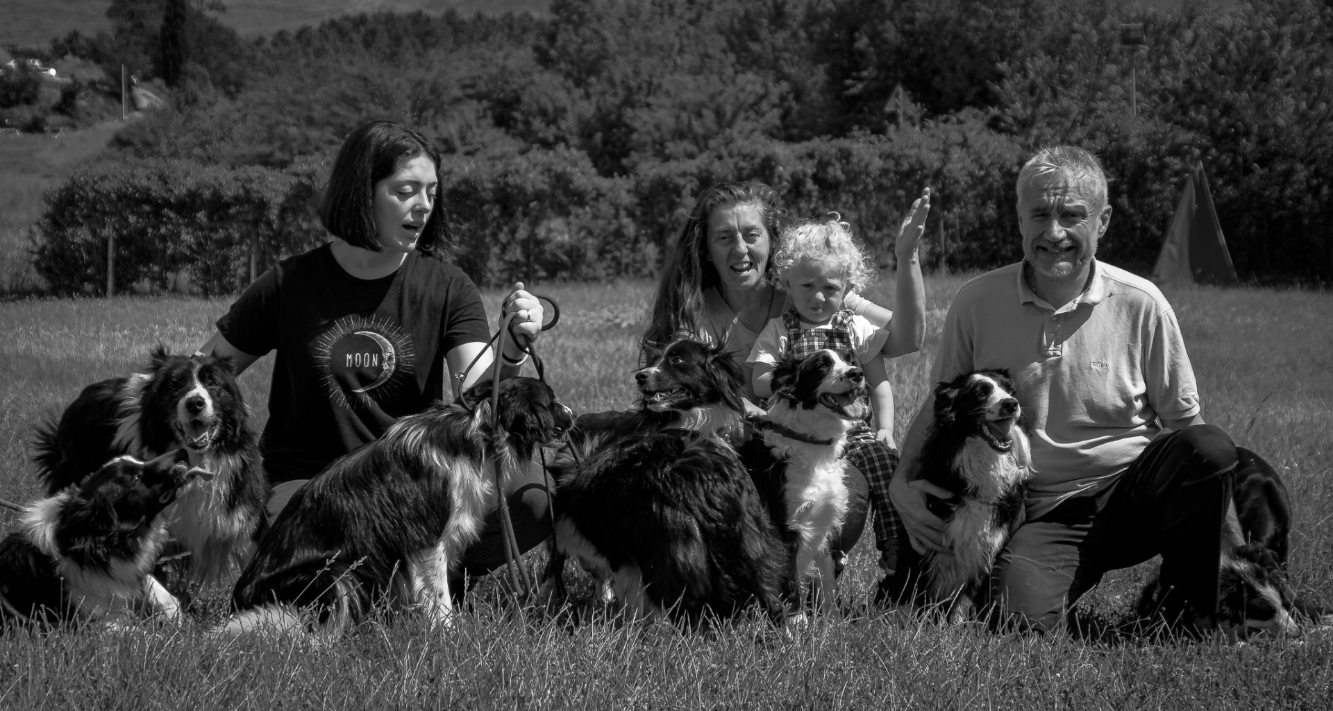 Our Border Collies in a Family Environment: Balance, Relationship, and Everyday Stability.